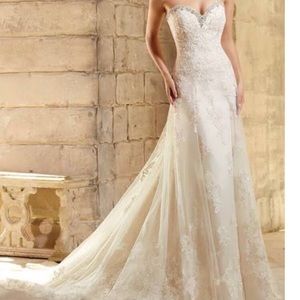 Beautiful wedding gown